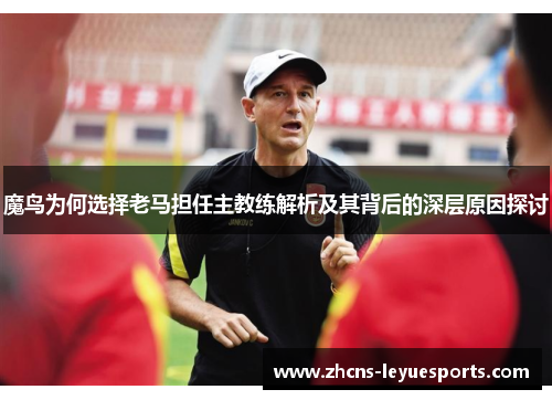 魔鸟为何选择老马担任主教练解析及其背后的深层原因探讨